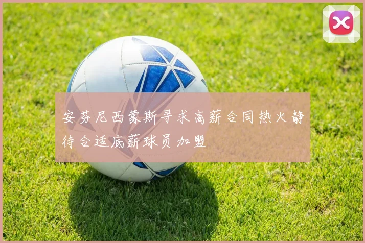 安芬尼西蒙斯寻求高薪合同热火静待合适底薪球员加盟